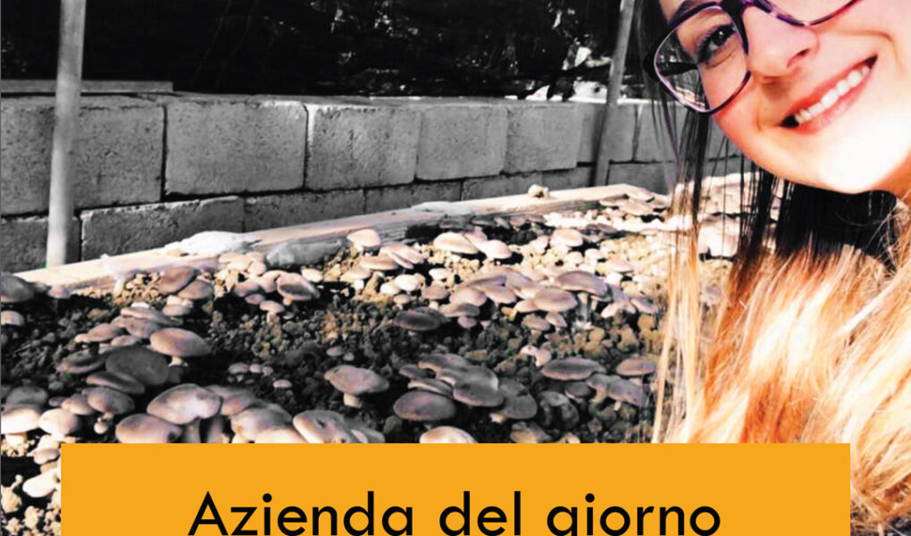 Lucania_funghi_basilicata_pietrapertosa